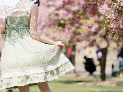 Rear view of Asian woman wearing green lolita dress and holding white lace umbrella in cherry blossom park in spring.
