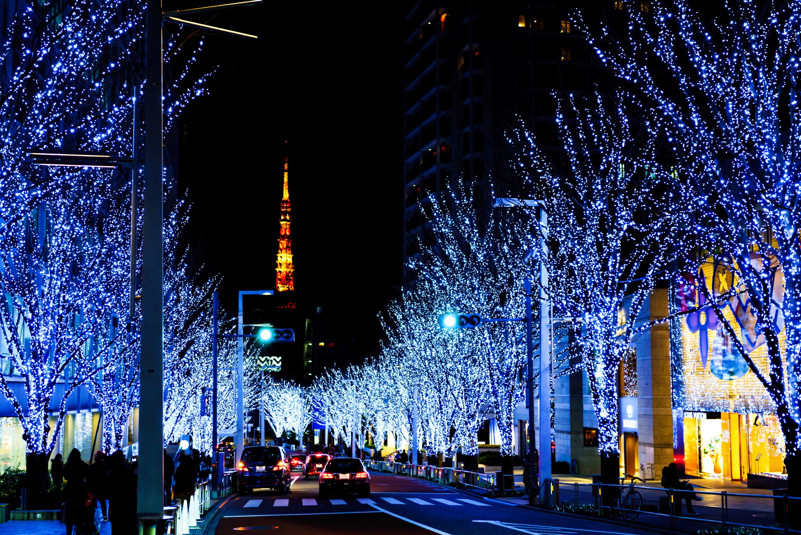 クリスマスイメージ：六本木ヒルズ前の冬の風物詩 けやき坂通りの幻想的なイルミネーションと東京タワー（公道から撮影）